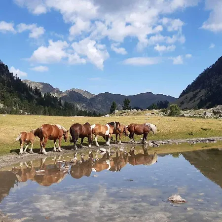 Cosy 4 Pers Au Coeur De - Fr-1-234-146 Cauterets