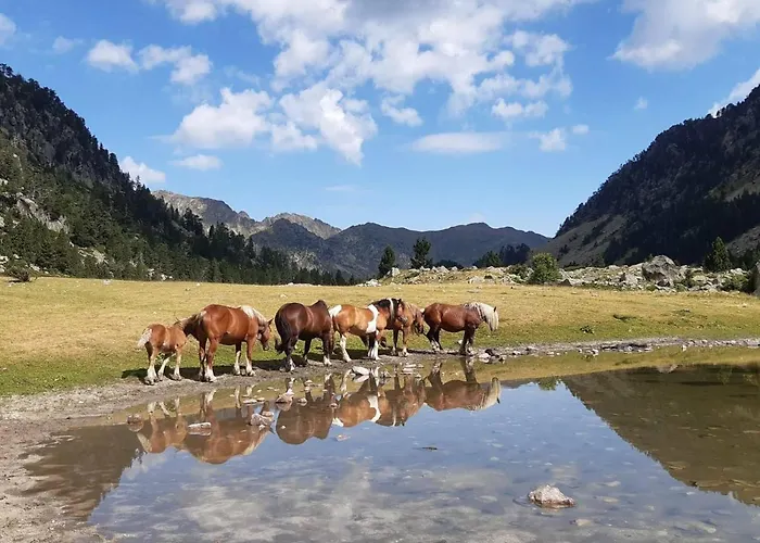 Cosy 4 Pers Au Coeur De - Fr-1-234-146 Cauterets